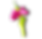17.png