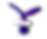 14.png