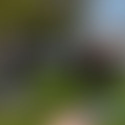 What's On This Summer in Workington: Festivals, Events & Family Fun