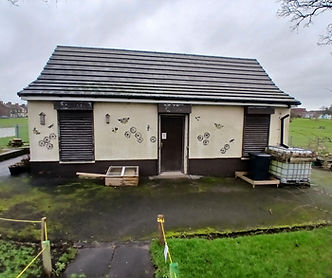 Before 1 outside - Jan 26.jpg