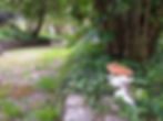 Bankfield Path