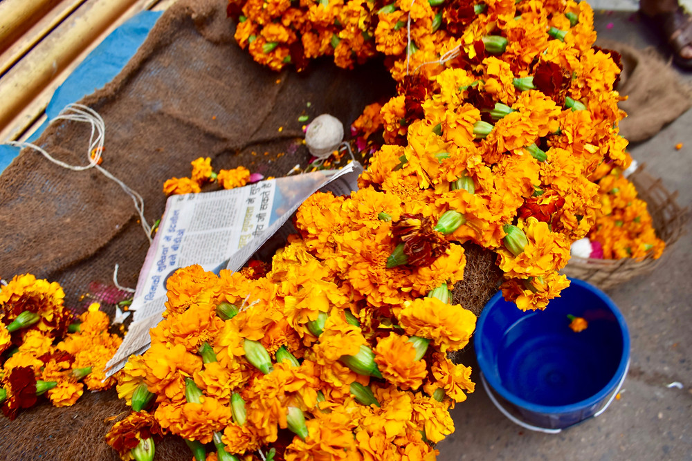 Visiting Old Delhi India, photo journal