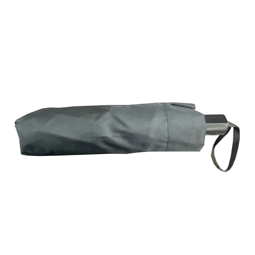 Thumbnail: Umbrella