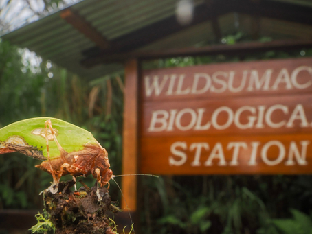 Pasantía en Comunicación, Ciencia y Desarrollo Sostenible
