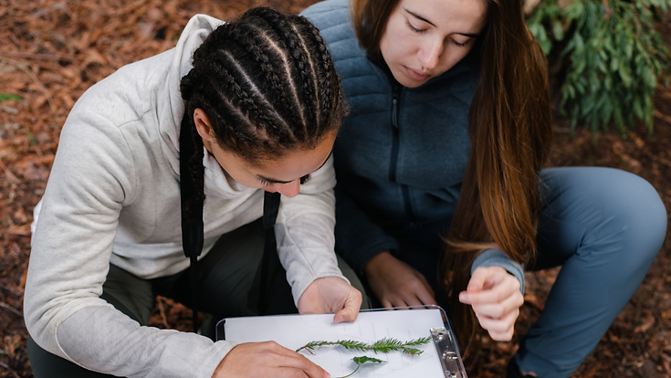 Portada para Facebook Descuento 50% OFF Compras Online Simple Rosa y Rojo (6).png