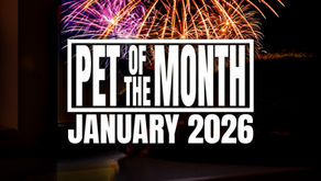 Pet of the Month: January 2026
