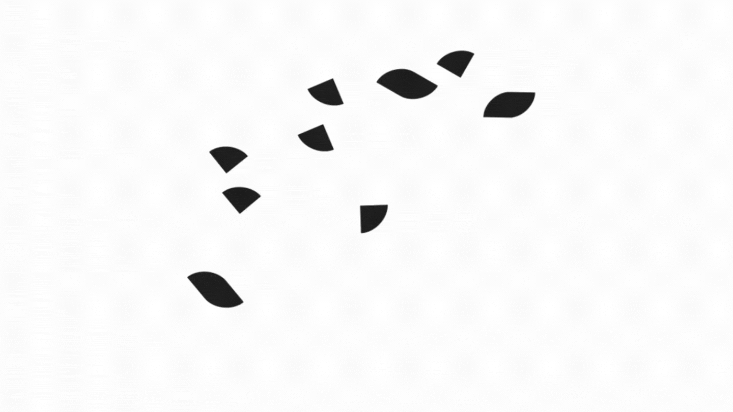 logo motion As