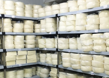 Cheese Production