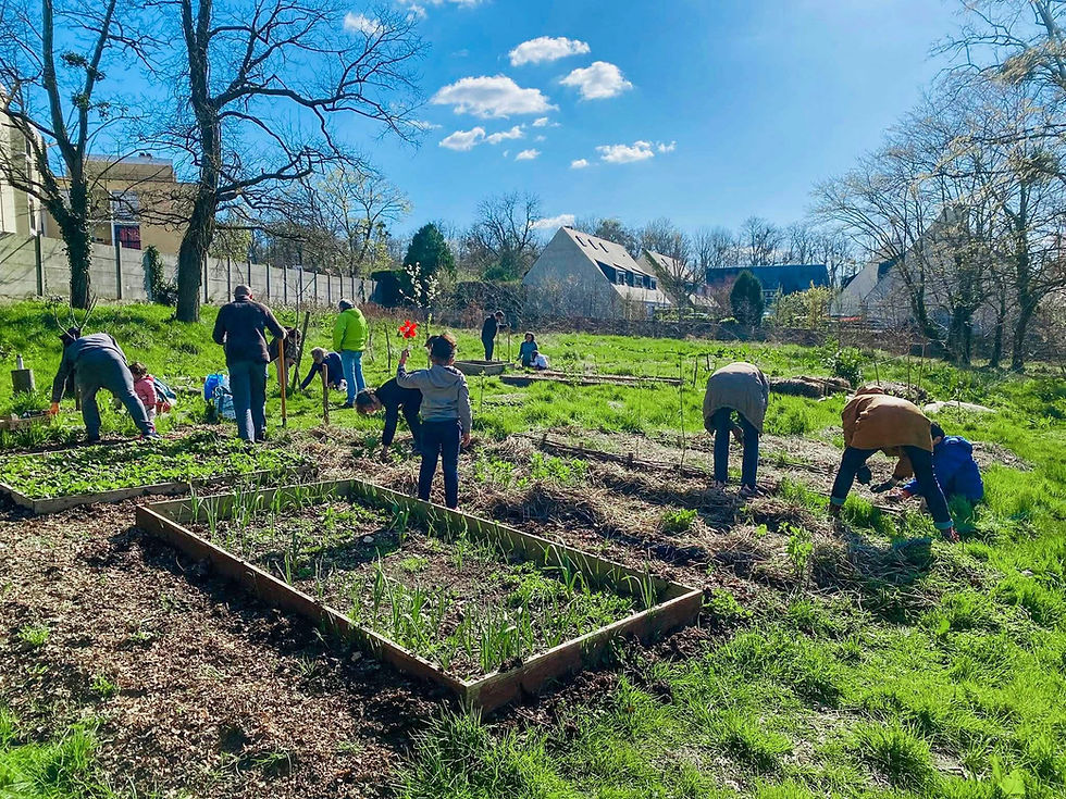 RDV AU POTAGER DU BEL-EBAT - samedi 31 mai