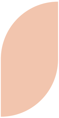 Elemento decorativo: forma livre, pode remeter à letra S, na cor laranja.