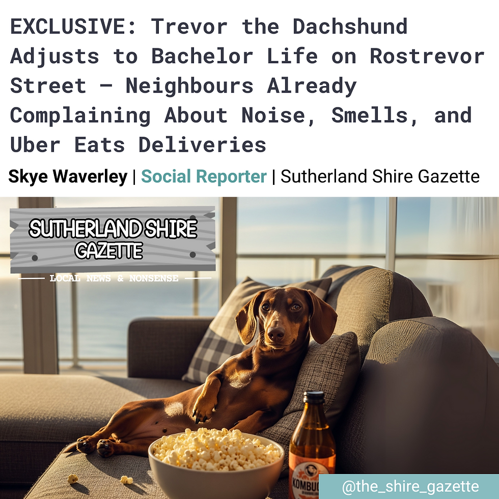 Dachshund sausage dig relaxing on couch with popcorn and kombucha bottle. Balcony in background overlooks the ocean. Headline Text reads: Trevor the dachshund adjusts to bachelor life on Rostrevor Street - Neighbours already complaining about noise, smells and uber eats deliveries. "Sutherland Shire Gazette" logo visible.