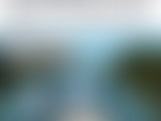 Four men stand on a boat, overlooking a river lined with trees. Headline: "Totally Normal Behaviour"": Shire Locals Stunned That Men in 20's Who Bought Half Millian Dollar Boat Werent Just Really Good at Crypto. Text includes Sutherland Shire Gazette.
