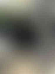 Clean Backseat of Toyota Highlander