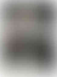 Chevy Suburban trunk interior detail with pet hair removal