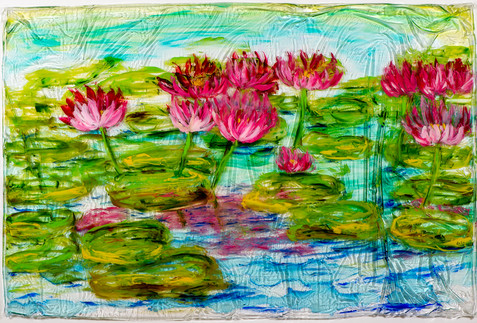 Tropical Water Lillies