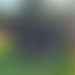 Oops we did it again