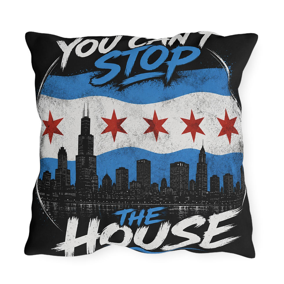 Thumbnail: You Can't Stop The House Outdoor Pillows