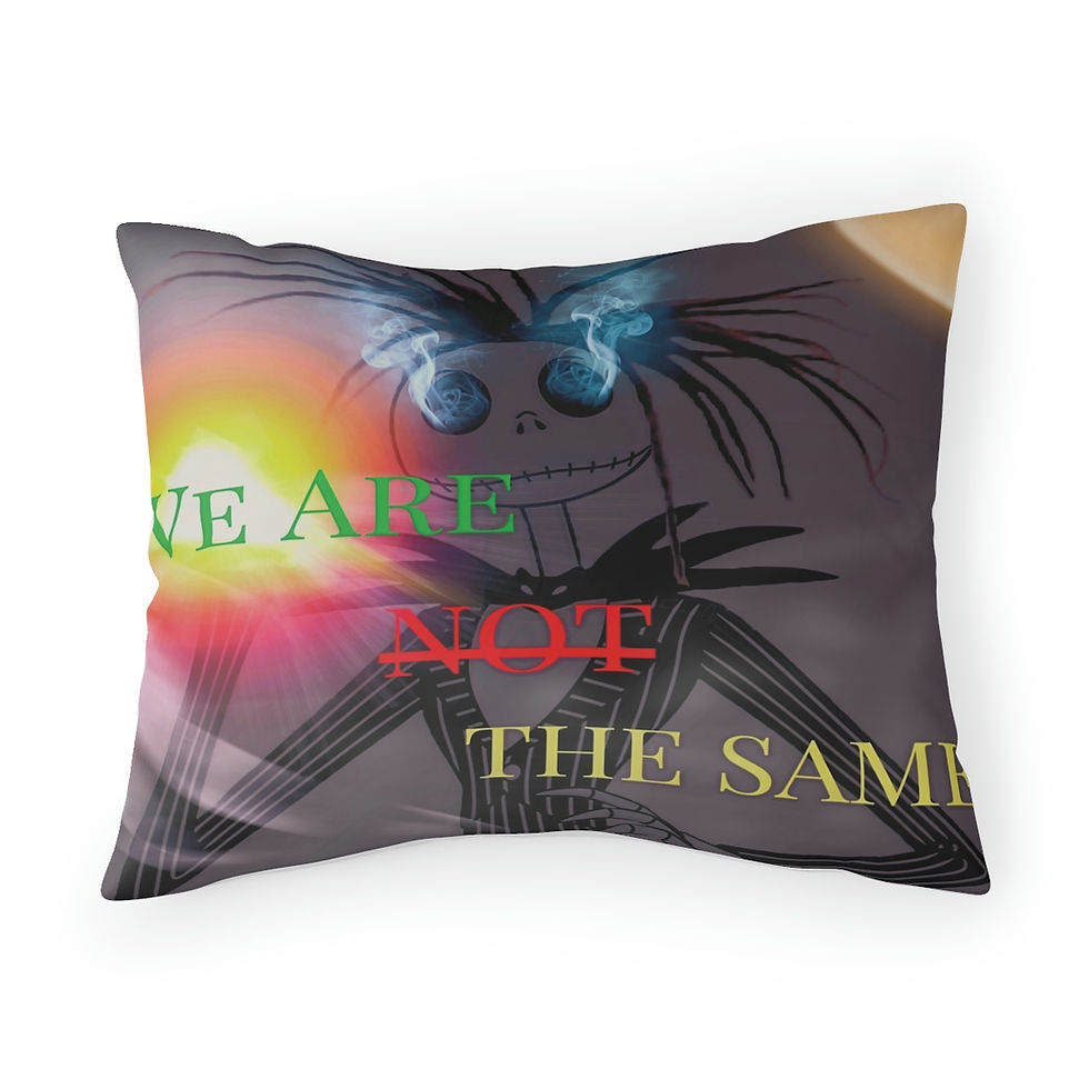 We Are Not The Same Pillow Sham