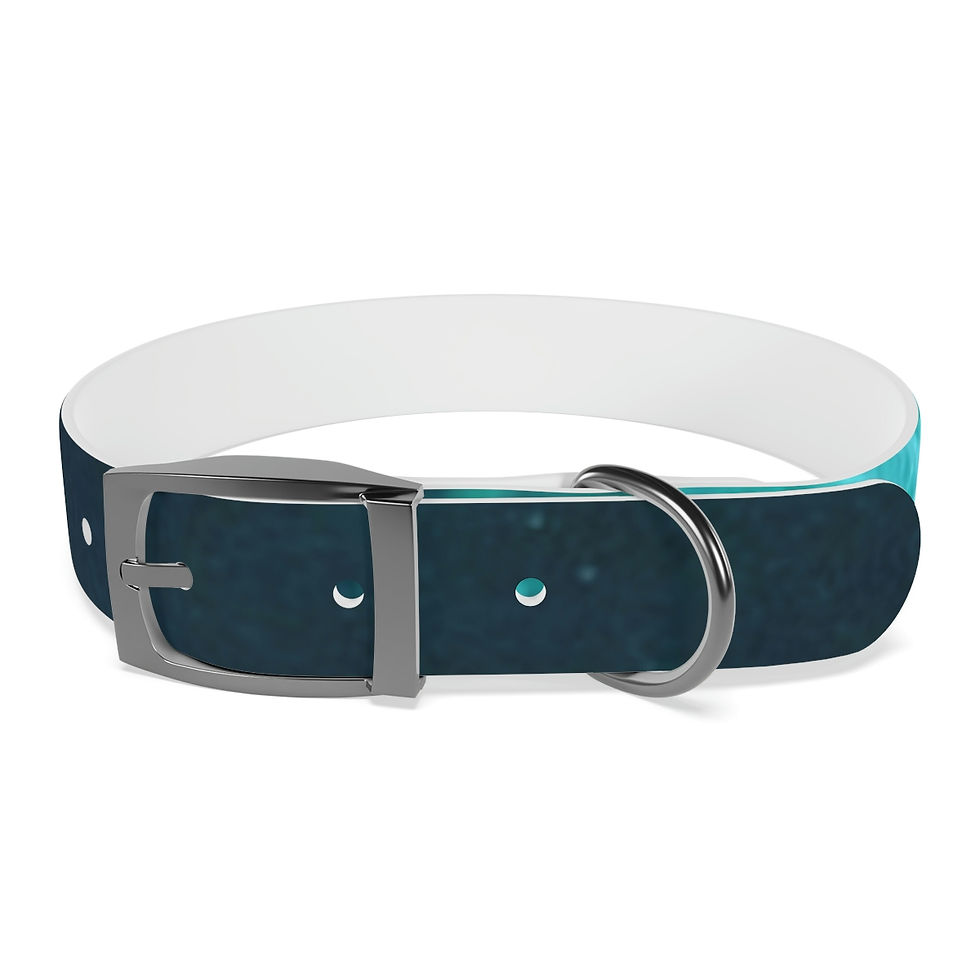 Thumbnail: Flooded Dog Collar