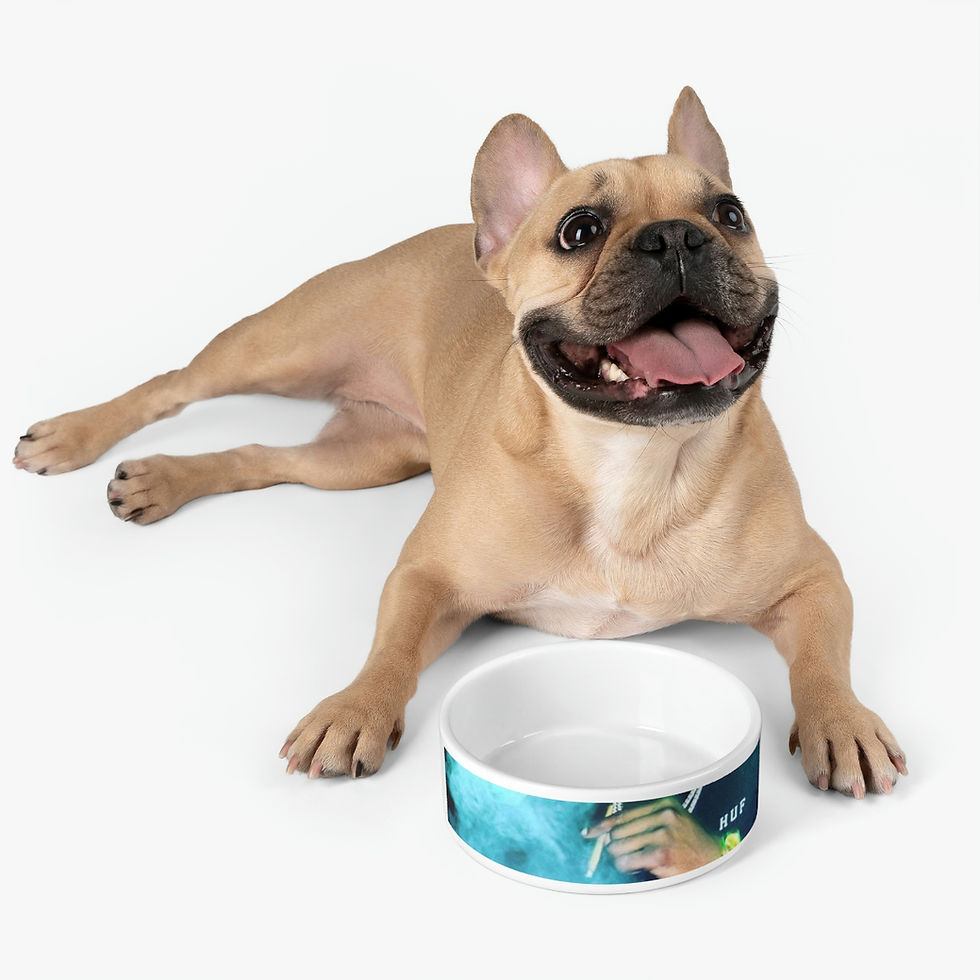 Thumbnail: Flooded Pet Bowl