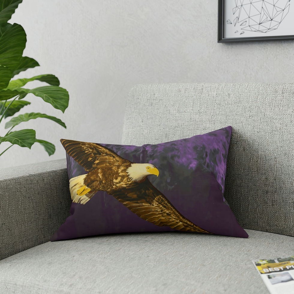 Thumbnail: Broadcloth Pillow