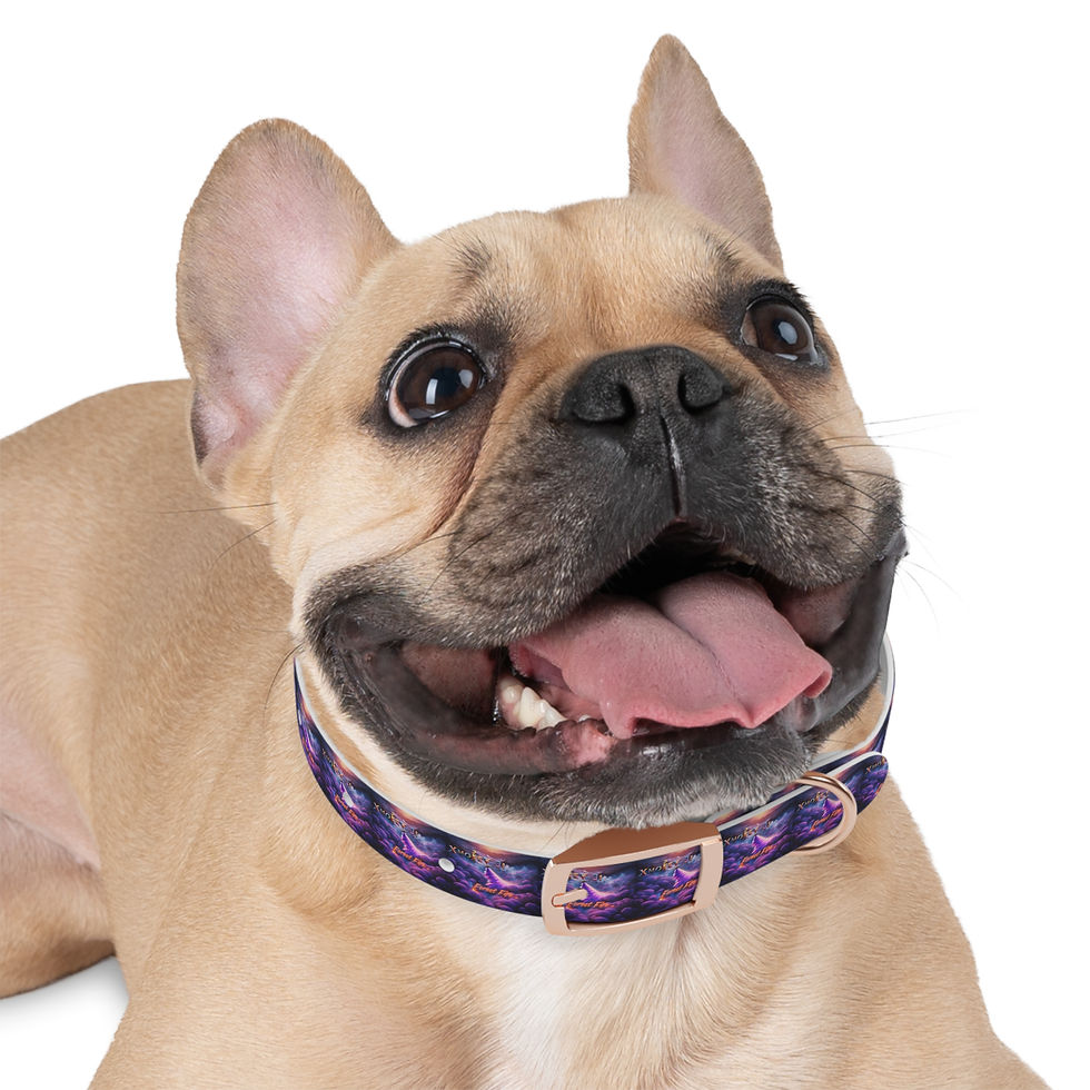 Thumbnail: Forest Fire Dog Collar
