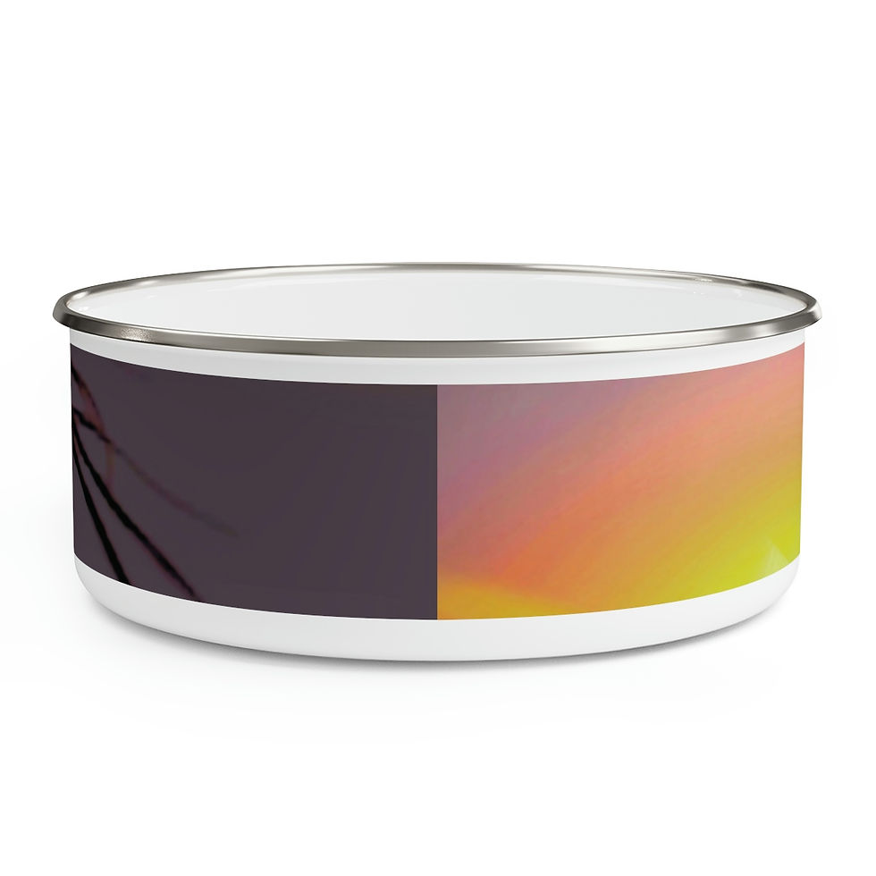 Thumbnail: We Are Not The Same Enamel Bowl