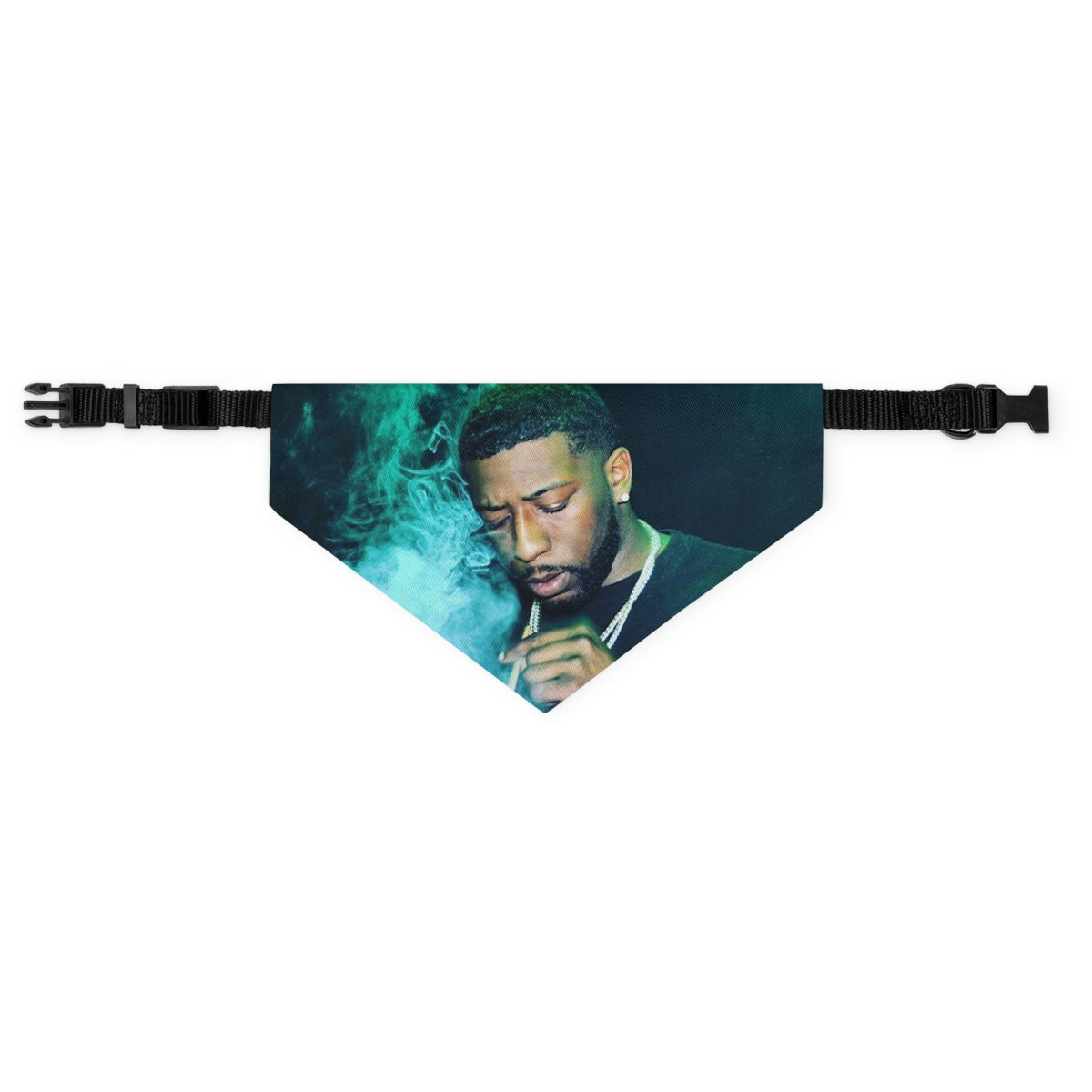 Flooded Pet Bandana Collar