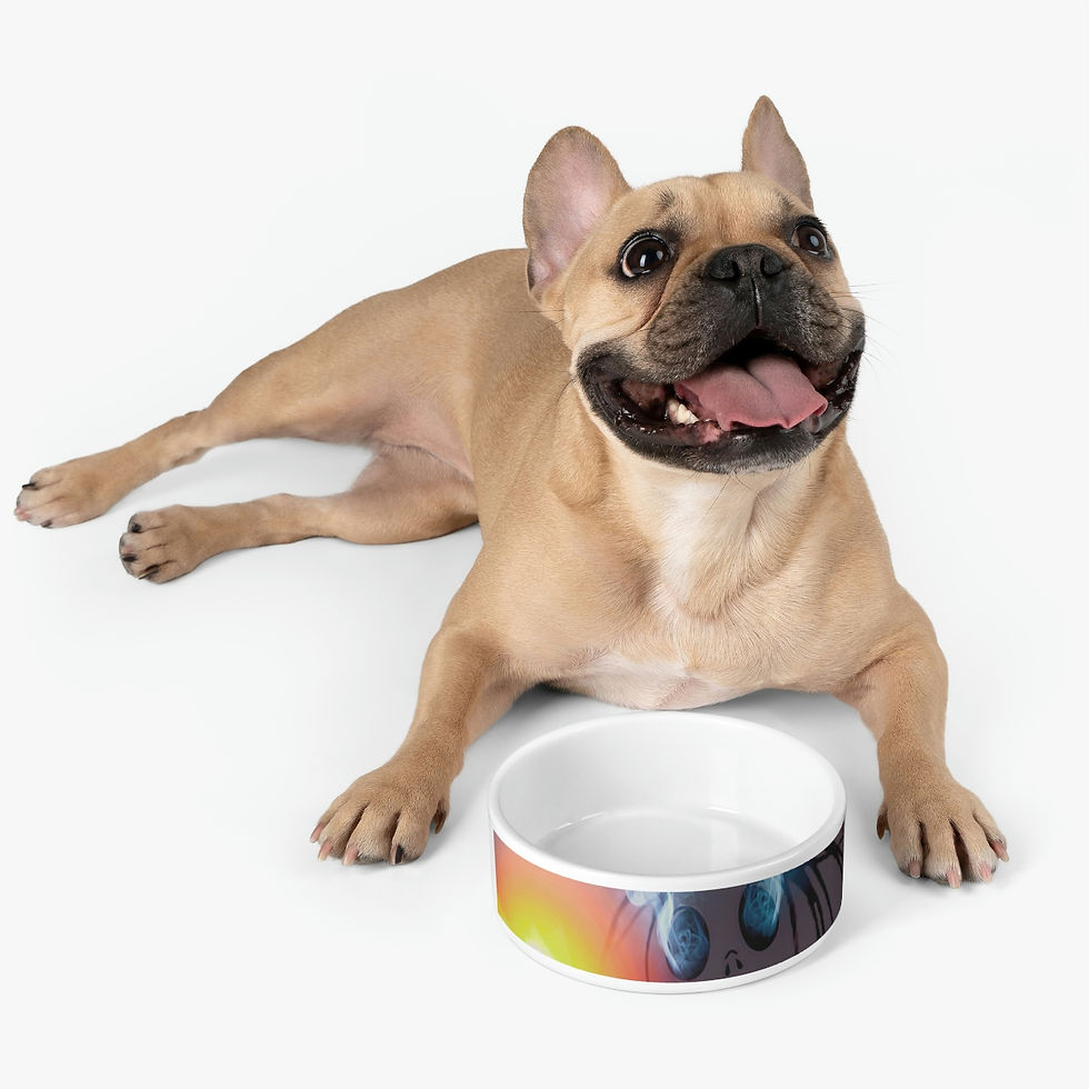 Thumbnail: We Are Not The Same Pet Bowl
