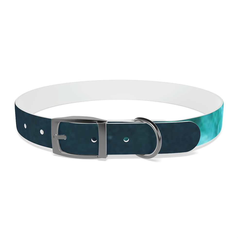 Thumbnail: Flooded Dog Collar