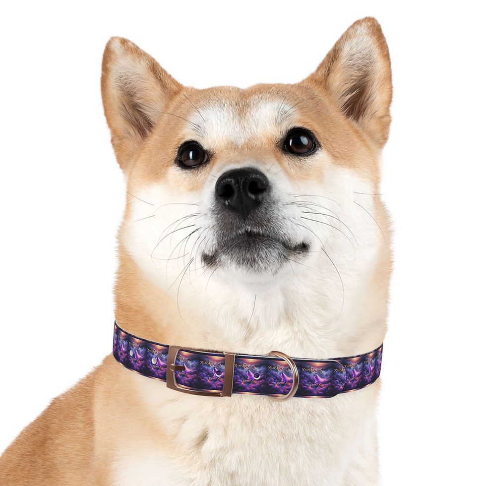 Thumbnail: Forest Fire Dog Collar