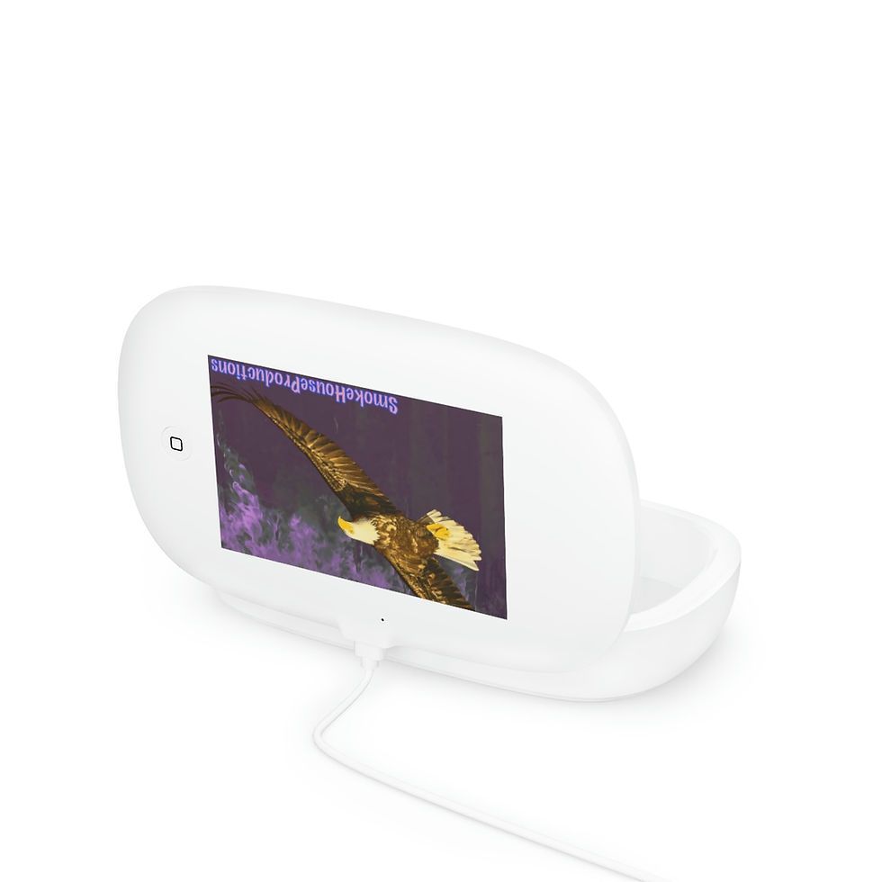 Thumbnail: UV Phone Sanitizer and Wireless Charging Pad