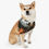 Thumbnail: Kletus Kronikals Pet Bandana Collar