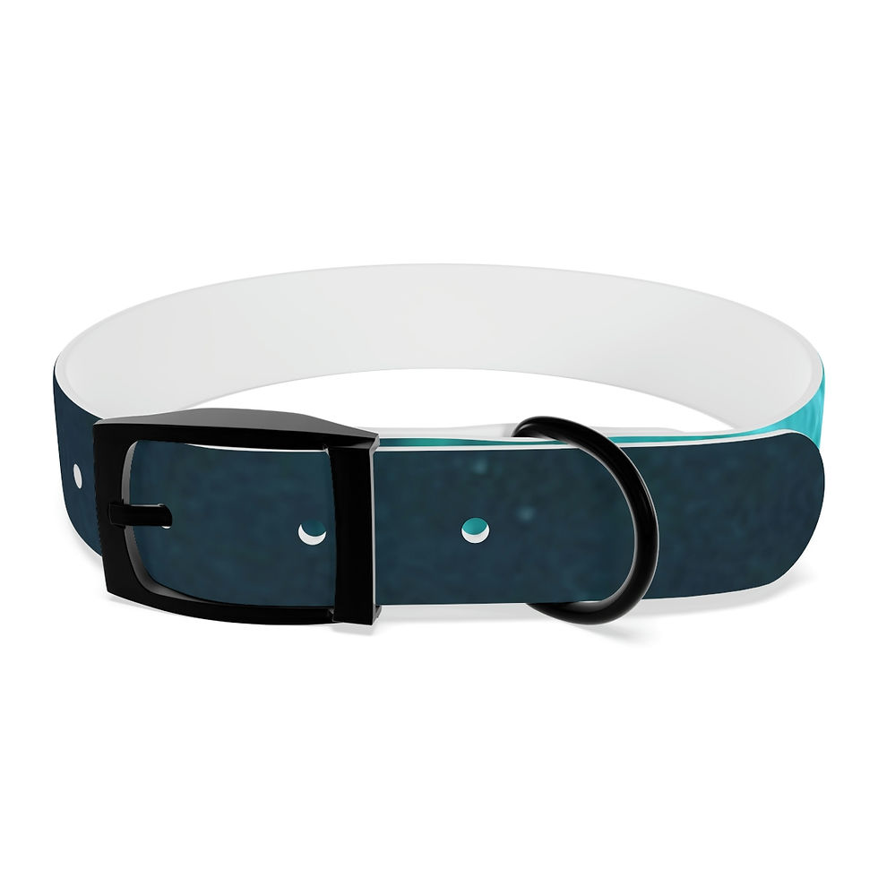 Thumbnail: Flooded Dog Collar