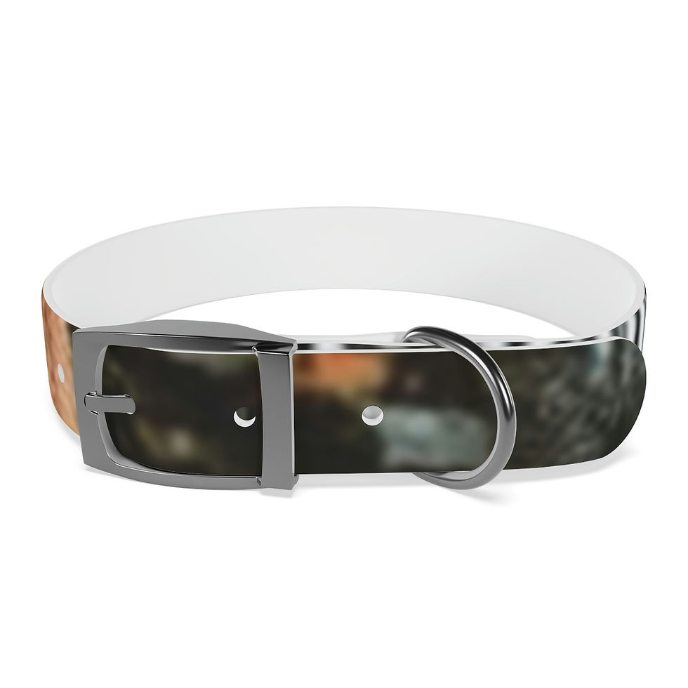 Thumbnail: Kletus Kronikals Dog Collar
