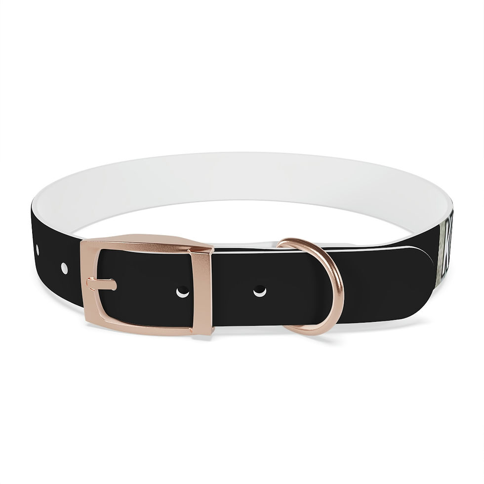 Thumbnail: Kletus Kronikals Dog Collar
