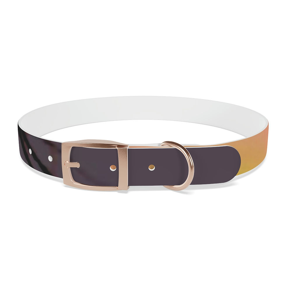 Thumbnail: We Are Not The Same Dog Collar