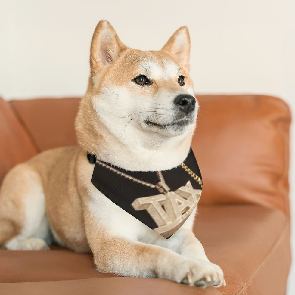 Thumbnail: Smoke Break Pet Bandana Collar