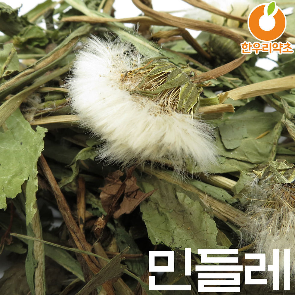 Thumbnail: 포공영(민들레잎)  蒲公英   ,   Pu Gong Ying