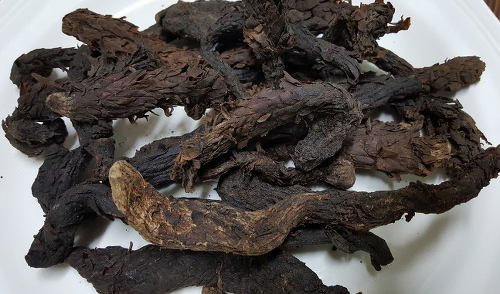 Thumbnail: 육종용   肉從蓉   ,   Rou cong rong