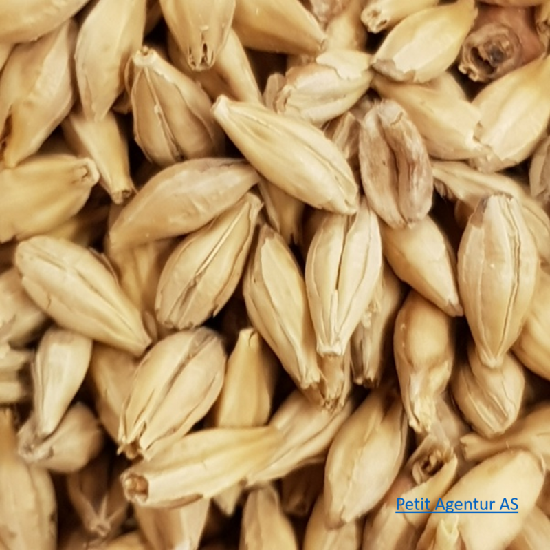 Thumbnail: 맥아(초)   麥芽(炒) , Mai Ya