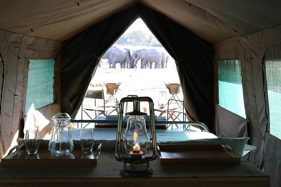 WhatsApp Image 2024-07-24 at 12.24.24.jpeg