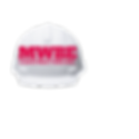 new Mwbe logo_edited.png