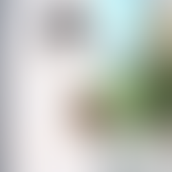 From the Dirt Up: What Trees Can Teach Black Women About Growth