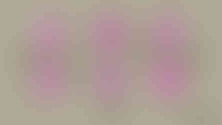 Illustrations of Flow's facial expressions - Surprised, sad, concerned, angry and happy 