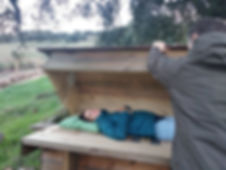 beebed-valle.jpeg