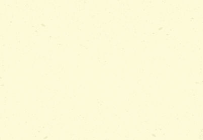 back-02.jpg