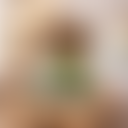 St. Patricks' Day Haven Box