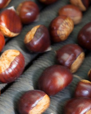 Hall-Stanley-Chestnut-Harvest-7-HR.jpg