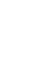 Voice icon REV.png